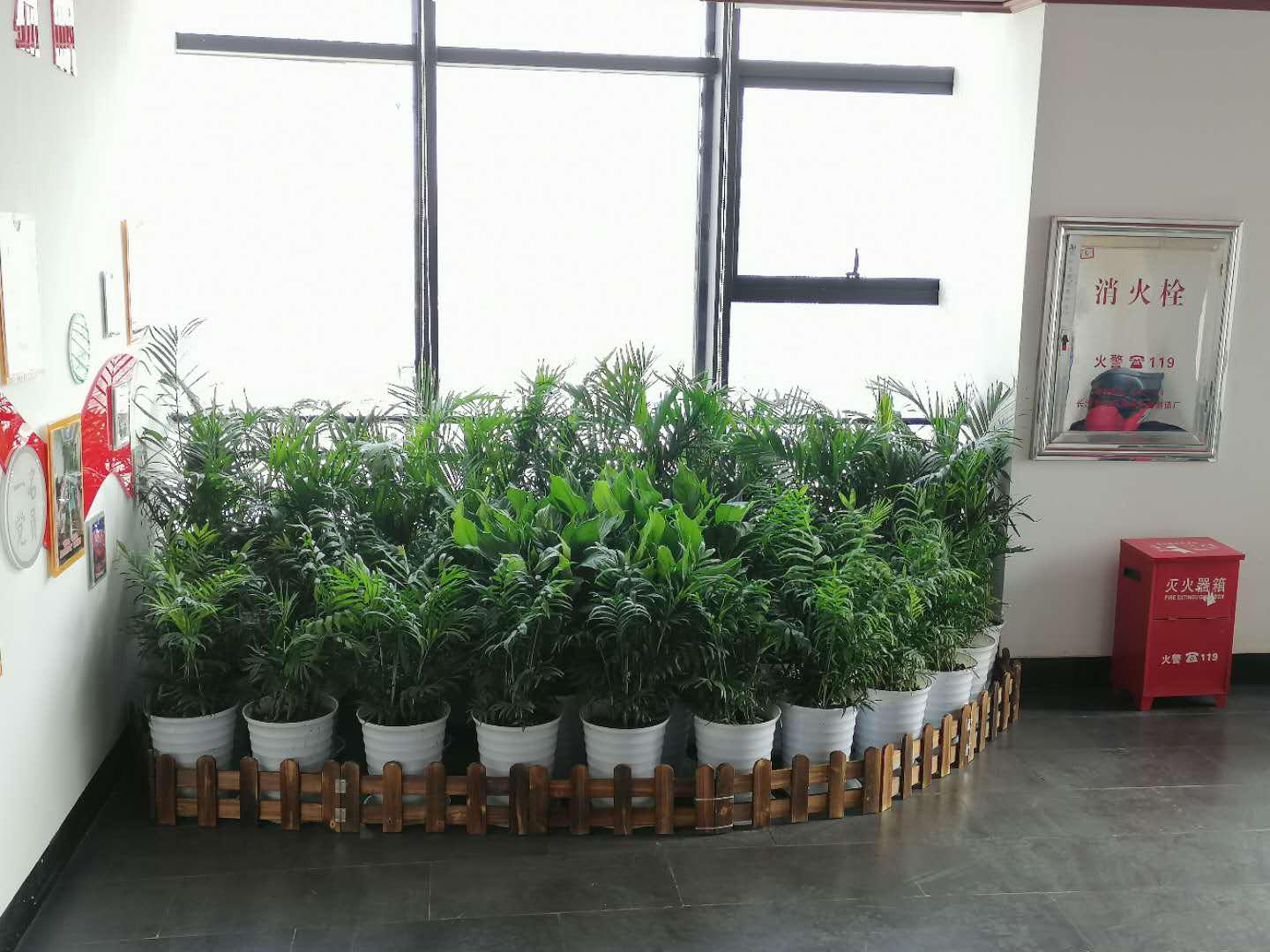 1603270773129469.jpg image003.jpg