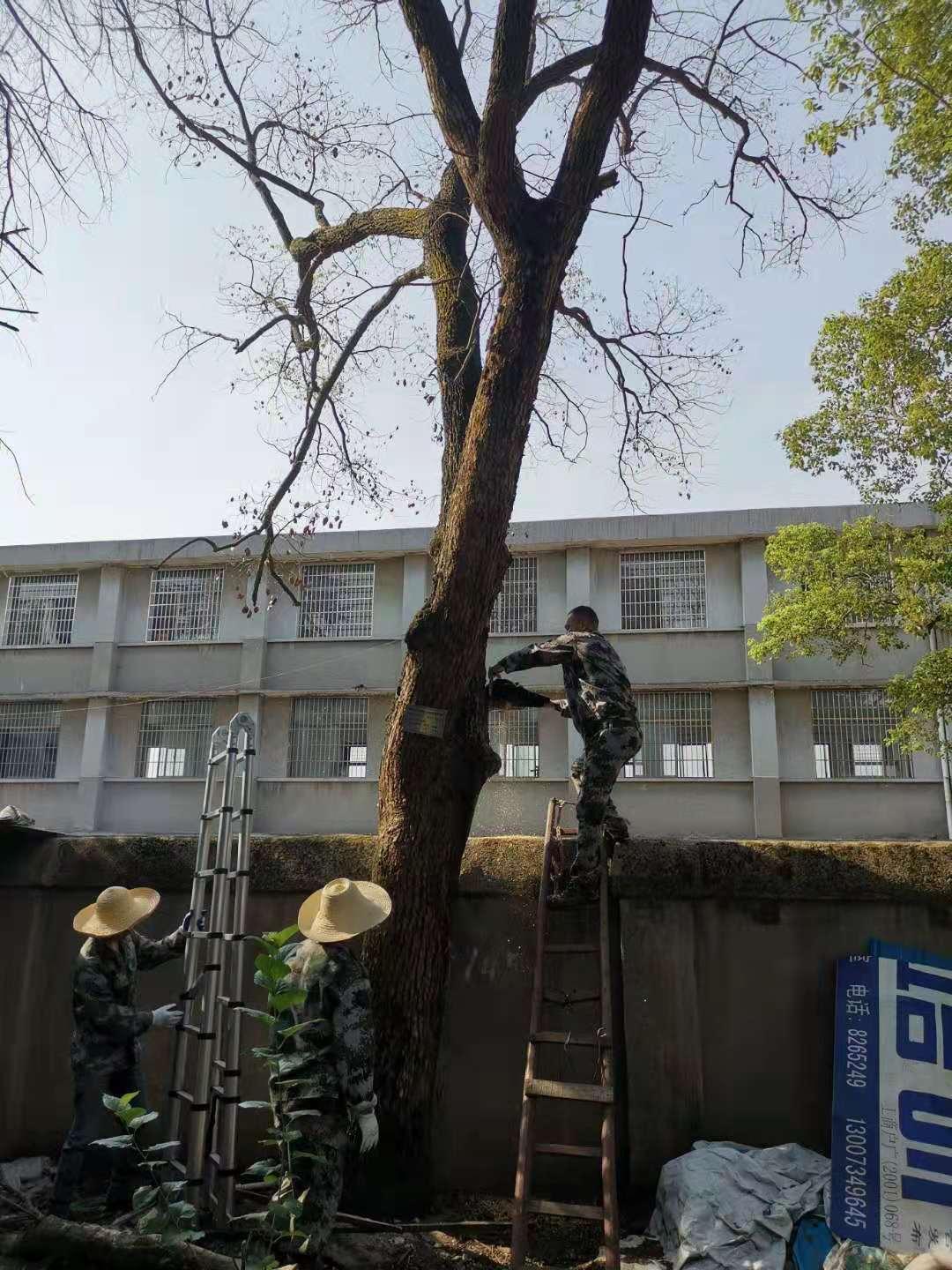 1629779870978006.jpg b5703ef31d94960afc502067f96e6de.jpg